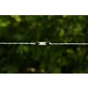 AKO LitzClip 442003/101 vezetéktoldó, max 3 mm, 10 db-os (villanypásztor)