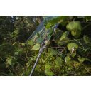 Bradas PLCF9023 CAMOforest terepmindás takaróponyva (90g/m2) - 5x8 m