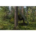 Bradas PLCF9023 CAMOforest terepmindás takaróponyva (90g/m2) - 5x8 m