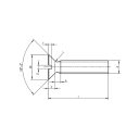 Süllyesztett fejű hornyolt csavar M2x6 TM - 4.8 (DIN 963, horganyzott)