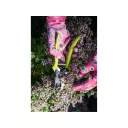 Extol Lady 8856669 védőkesztyű (kerti) (nylon), nitril mártással, S/7 (virág mintás)