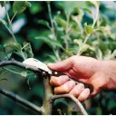 Fiskars K62 kacorkés - 17cm (összecsukható)