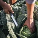 Fiskars X-series K82 betakarító kés - 27,7 cm (15 cm pengehossz)