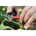 Fiskars Solid SP220 fűszernövényvágó olló (130 mm)