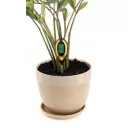 Flo 89000 digitális talajszonda (hőmérséklet, PH, talajnedvesség)