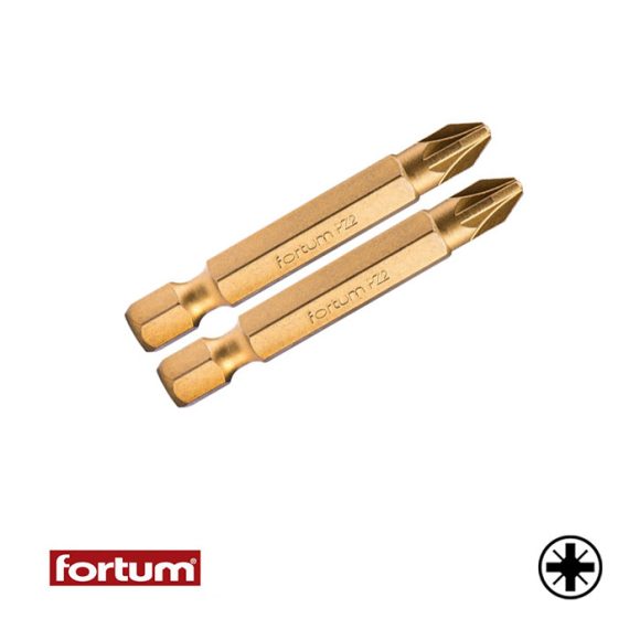 Fortum 4741381 PZ1x50 mm TiN bit (1/4") 2 db-os