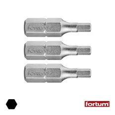 Fortum 4741504 HEX3x25 mm bit (1/4") 3 db-os