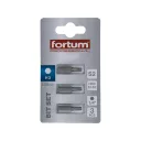 Fortum 4741504 HEX3x25 mm bit (1/4") 3 db-os