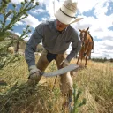 Gerber Broadcut Machete bozótvágó - 50 cm