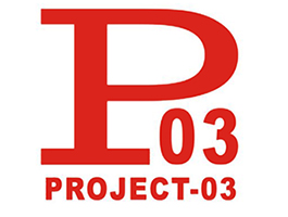 Project 03